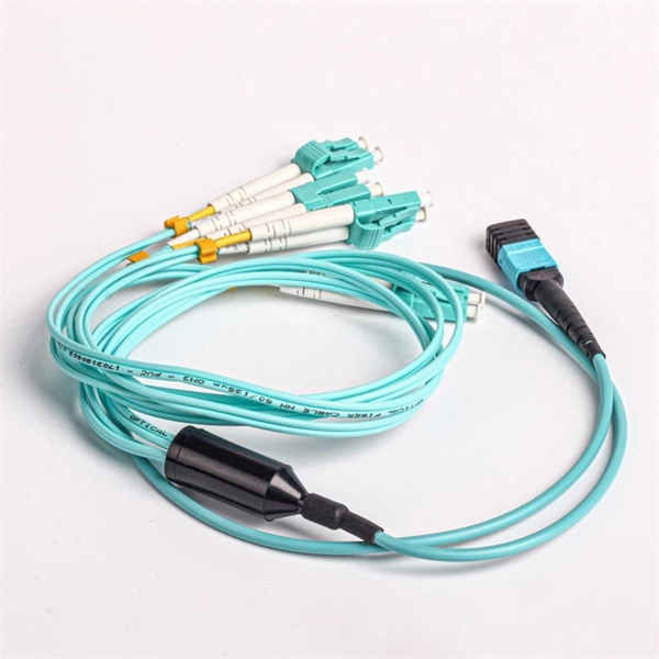 Papua New Guinea Data Center Cabling System Construction Case